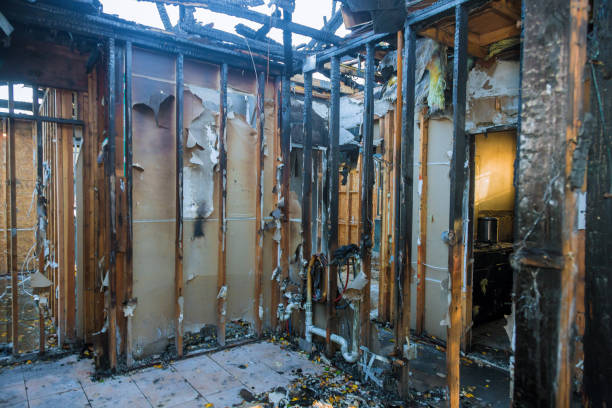 Professional Fire Damage Removal technician working in Dassel, MN