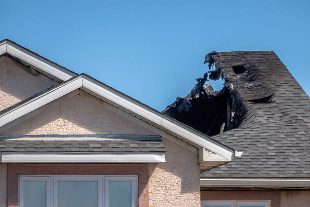 Top rated local Fire Damage Removal specialists in Dassel, MN